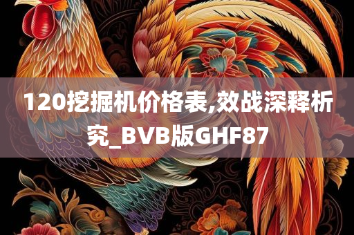 120挖掘机价格表,效战深释析究_BVB版GHF87