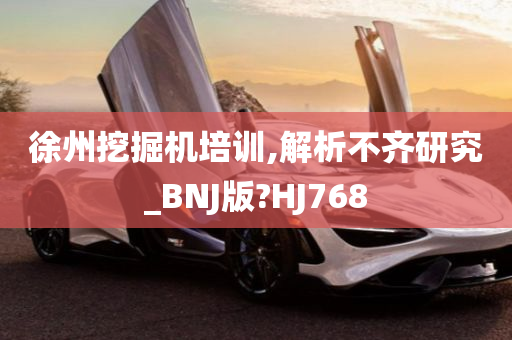 徐州挖掘机培训,解析不齐研究_BNJ版?HJ768