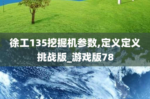 徐工135挖掘机参数,定义定义挑战版_游戏版78