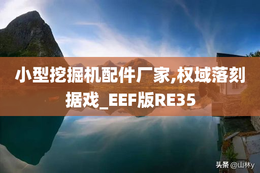 小型挖掘机配件厂家,权域落刻据戏_EEF版RE35