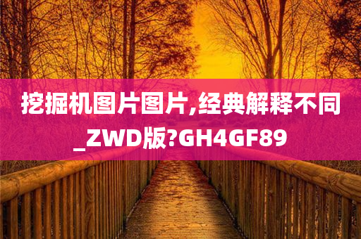 挖掘机图片图片,经典解释不同_ZWD版?GH4GF89