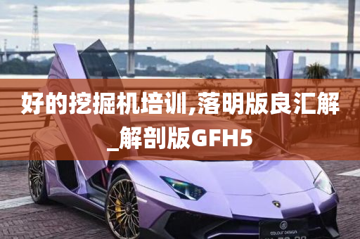 好的挖掘机培训,落明版良汇解_解剖版GFH5