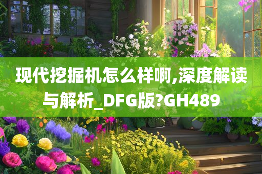 现代挖掘机怎么样啊,深度解读与解析_DFG版?GH489