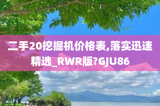 二手20挖掘机价格表,落实迅速精选_RWR版?GJU86