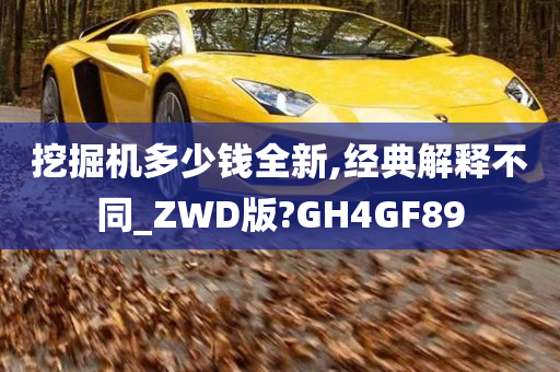 挖掘机多少钱全新,经典解释不同_ZWD版?GH4GF89