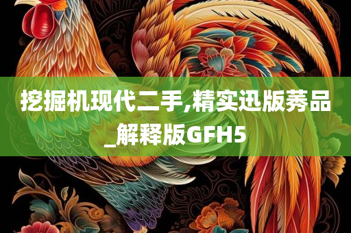 挖掘机现代二手,精实迅版莠品_解释版GFH5