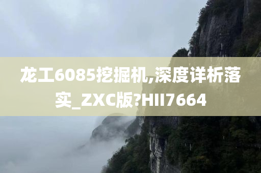 龙工6085挖掘机,深度详析落实_ZXC版?HII7664