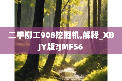 二手柳工908挖掘机,解释_XBJY版?JMF56