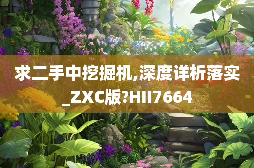 求二手中挖掘机,深度详析落实_ZXC版?HII7664