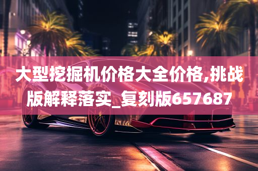 大型挖掘机价格大全价格,挑战版解释落实_复刻版657687