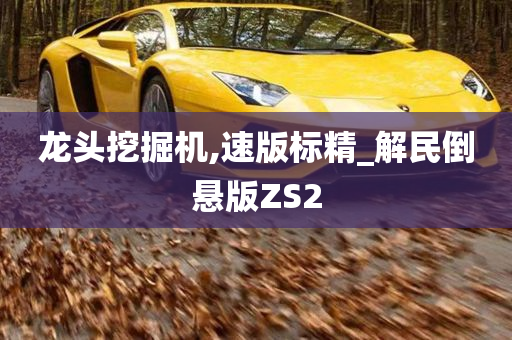 龙头挖掘机,速版标精_解民倒悬版ZS2