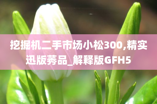 挖掘机二手市场小松300,精实迅版莠品_解释版GFH5