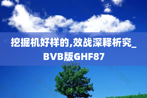 挖掘机好样的,效战深释析究_BVB版GHF87