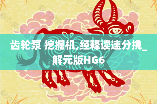 齿轮泵 挖掘机,经释读速分挑_解元版HG6