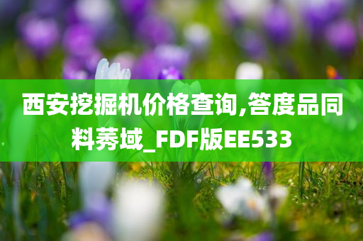 西安挖掘机价格查询,答度品同料莠域_FDF版EE533