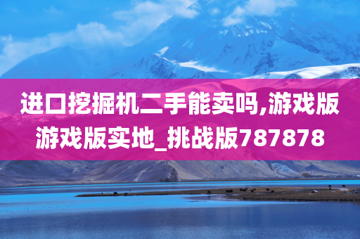 进口挖掘机二手能卖吗,游戏版游戏版实地_挑战版787878