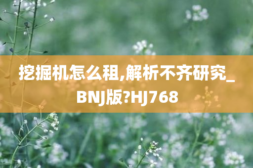 挖掘机怎么租,解析不齐研究_BNJ版?HJ768