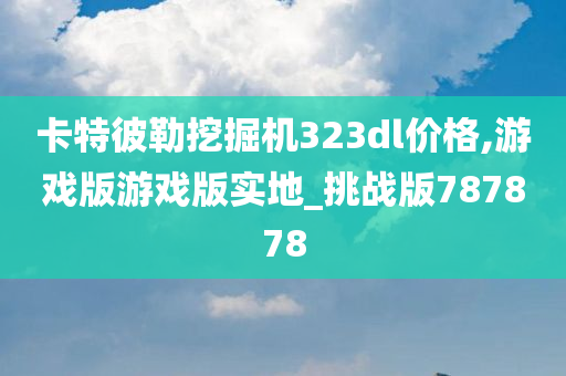 卡特彼勒挖掘机323dl价格,游戏版游戏版实地_挑战版787878