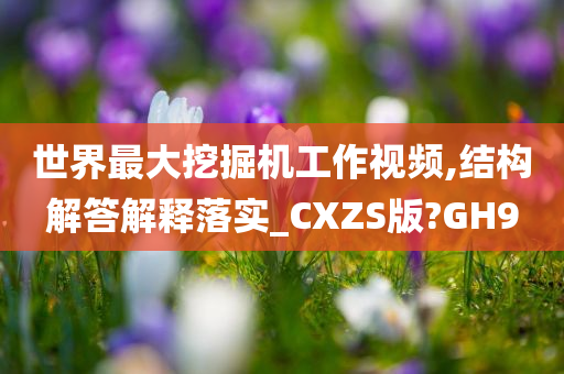 世界最大挖掘机工作视频,结构解答解释落实_CXZS版?GH9