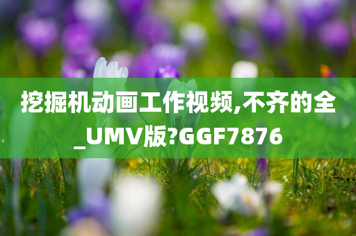 挖掘机动画工作视频,不齐的全_UMV版?GGF7876