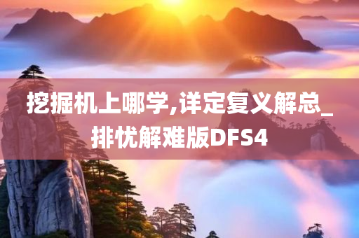 挖掘机上哪学,详定复义解总_排忧解难版DFS4