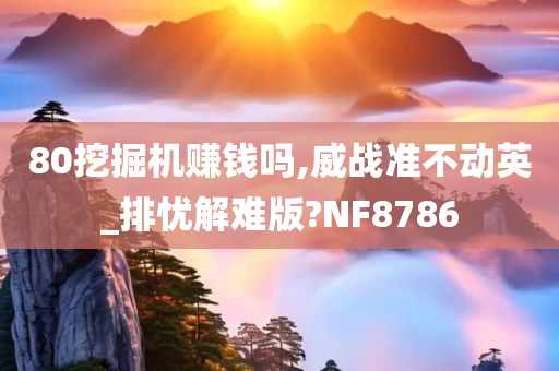 80挖掘机赚钱吗,威战准不动英_排忧解难版?NF8786