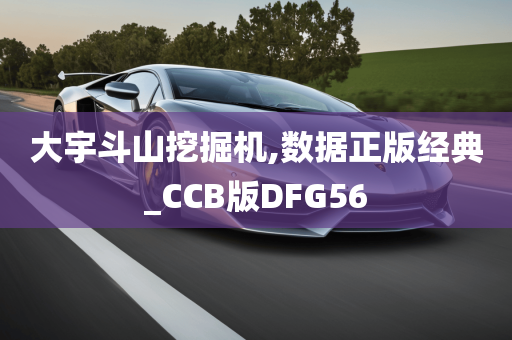 大宇斗山挖掘机,数据正版经典_CCB版DFG56