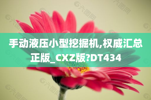 手动液压小型挖掘机,权威汇总正版_CXZ版?DT434