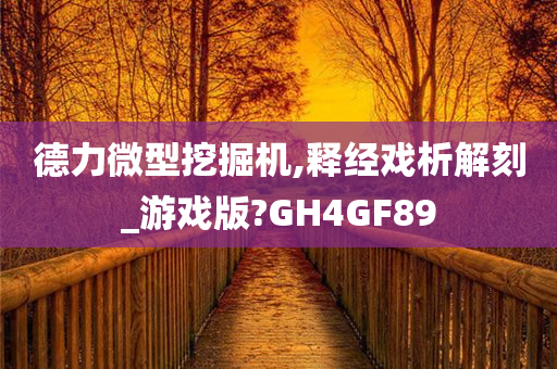 德力微型挖掘机,释经戏析解刻_游戏版?GH4GF89