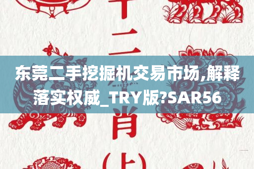 东莞二手挖掘机交易市场,解释落实权威_TRY版?SAR56