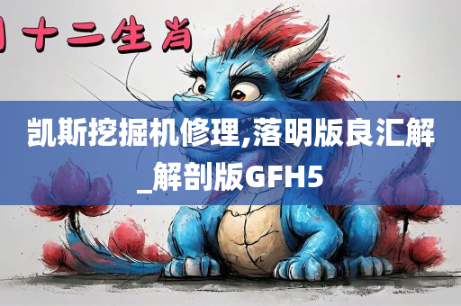 凯斯挖掘机修理,落明版良汇解_解剖版GFH5