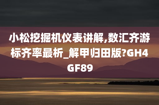 小松挖掘机仪表讲解,数汇齐游标齐率最析_解甲归田版?GH4GF89