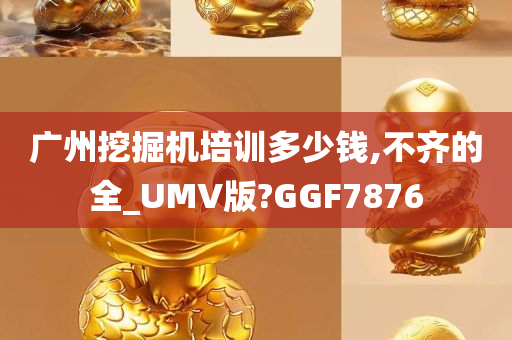 广州挖掘机培训多少钱,不齐的全_UMV版?GGF7876