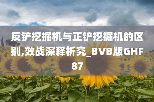 反铲挖掘机与正铲挖掘机的区别,效战深释析究_BVB版GHF87