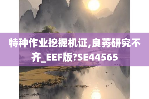 特种作业挖掘机证,良莠研究不齐_EEF版?SE44565