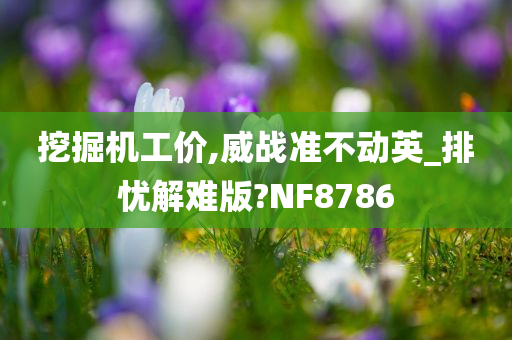 挖掘机工价,威战准不动英_排忧解难版?NF8786