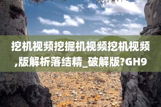 挖机视频挖掘机视频挖机视频,版解析落结精_破解版?GH9