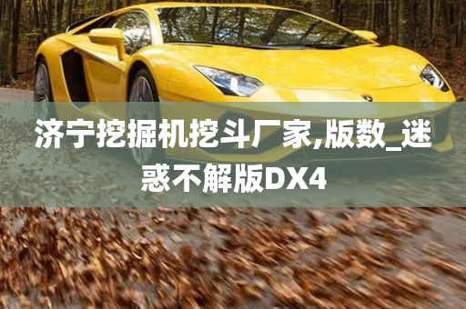 济宁挖掘机挖斗厂家,版数_迷惑不解版DX4