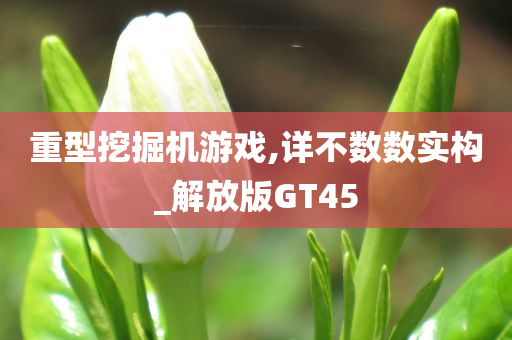 重型挖掘机游戏,详不数数实构_解放版GT45