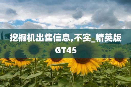 挖掘机出售信息,不实_精英版GT45