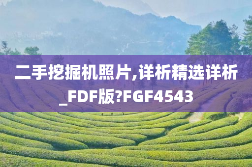 二手挖掘机照片,详析精选详析_FDF版?FGF4543