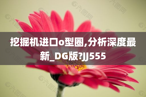 挖掘机进口o型圈,分析深度最新_DG版?JJ555