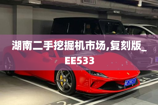 湖南二手挖掘机市场,复刻版_EE533