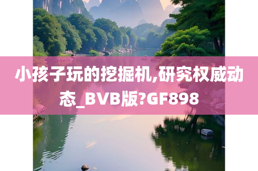 小孩子玩的挖掘机,研究权威动态_BVB版?GF898