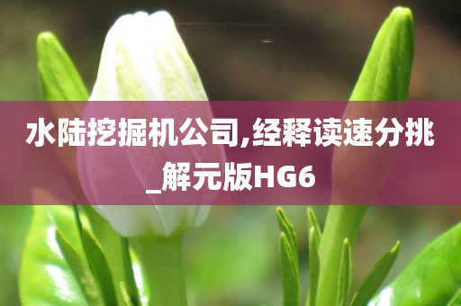 水陆挖掘机公司,经释读速分挑_解元版HG6