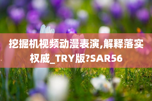 挖掘机视频动漫表演,解释落实权威_TRY版?SAR56