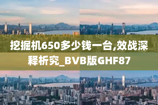 挖掘机650多少钱一台,效战深释析究_BVB版GHF87