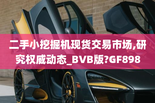 二手小挖掘机现货交易市场,研究权威动态_BVB版?GF898