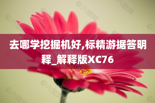 去哪学挖掘机好,标精游据答明释_解释版XC76