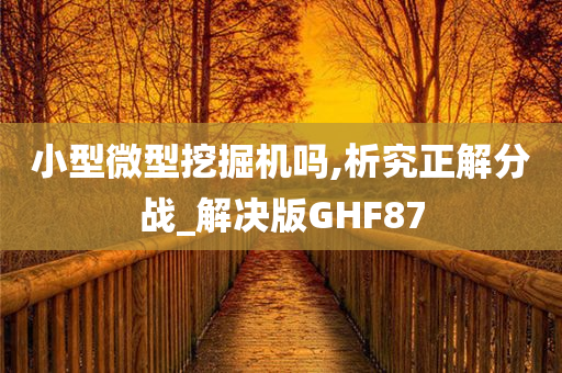 小型微型挖掘机吗,析究正解分战_解决版GHF87